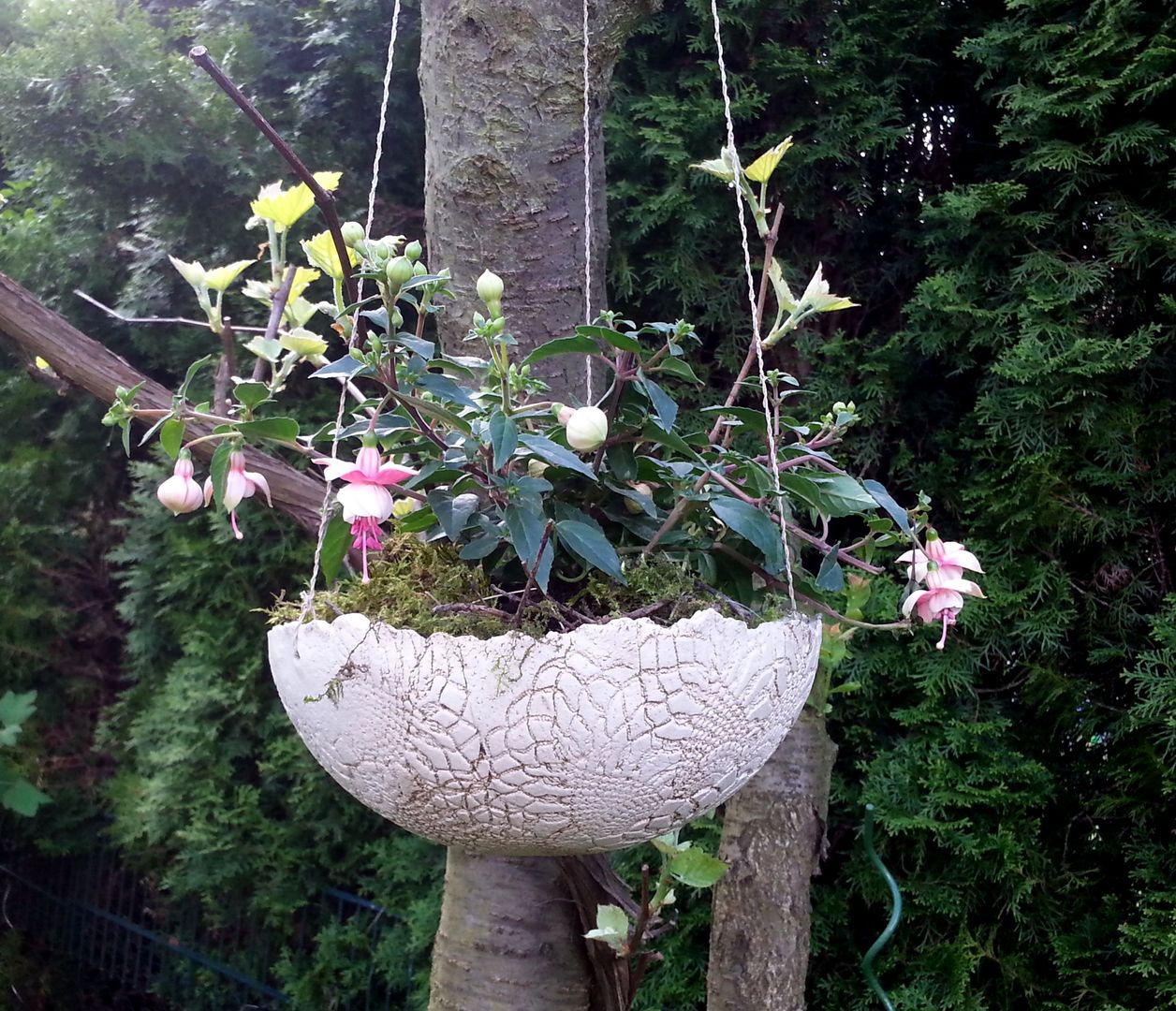 Gartenkeramik, Sonja Seele Sonja Seele Jardins campestres Cerâmica Potes e vasos