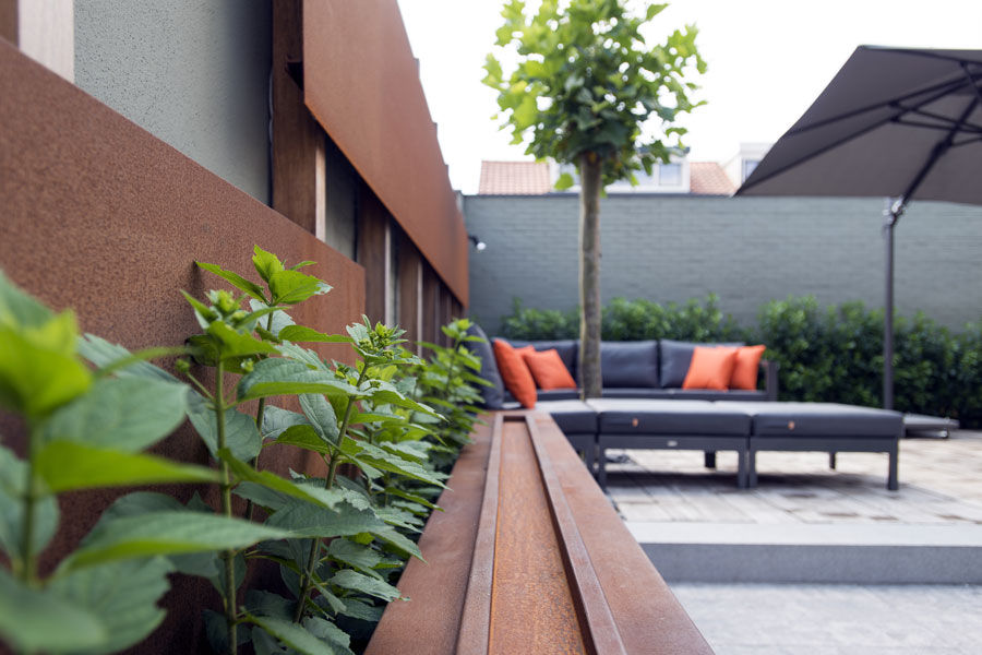 Kleine tuin in Made, De Rooy Hoveniers De Rooy Hoveniers Modern garden