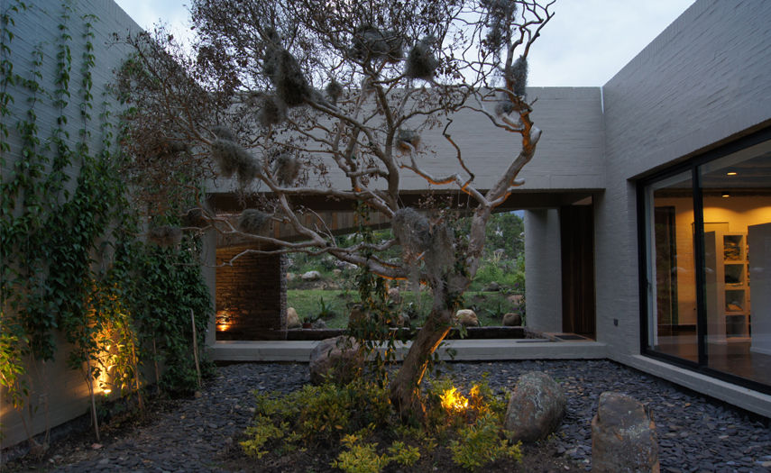 Casa IQ, AMR ARQUITECTOS AMR ARQUITECTOS 모던스타일 정원