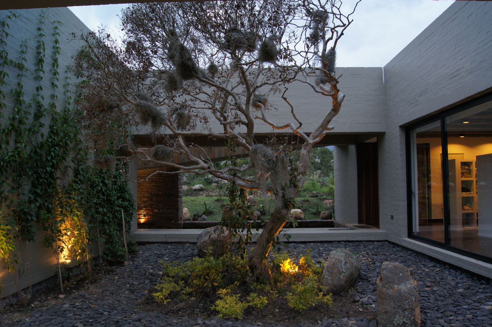 Casa IQ, AMR ARQUITECTOS AMR ARQUITECTOS 庭院