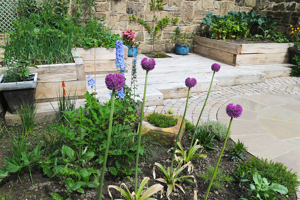 Contemporary Cottage Garden Yorkshire Gardens حديقة