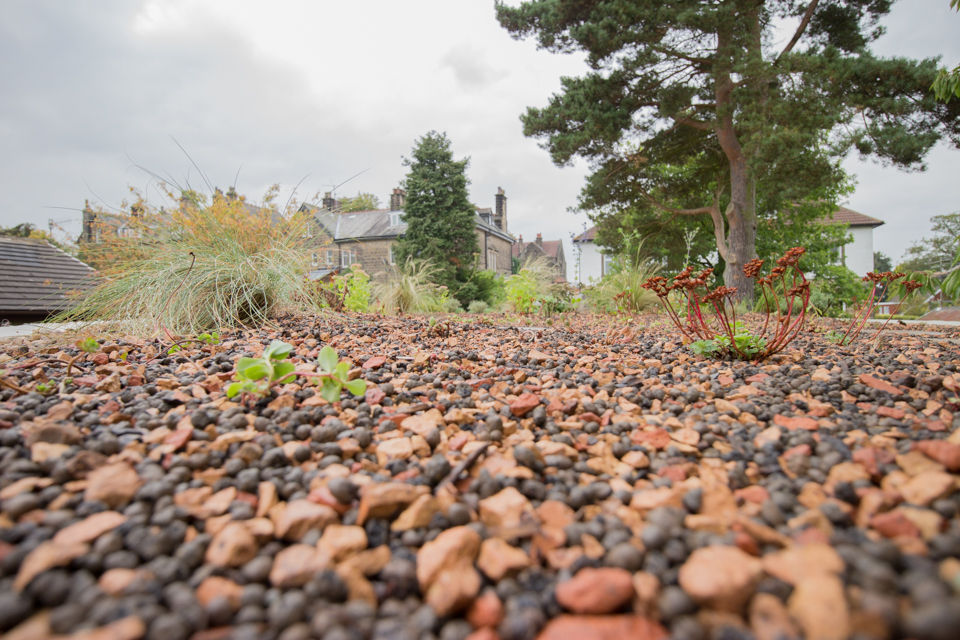 A Modern Garden with Traditional Materials Yorkshire Gardens Сад в стиле модерн