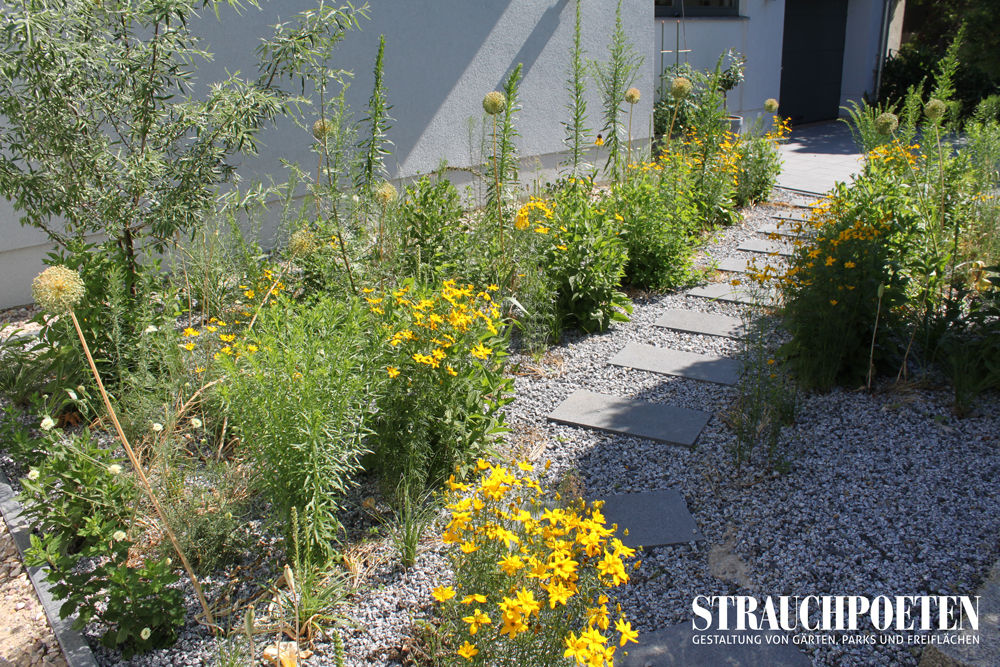 Ausgefallene Staudenpflanzung für sonnigen Vorgarten, Strauchpoeten Strauchpoeten Jardines modernos