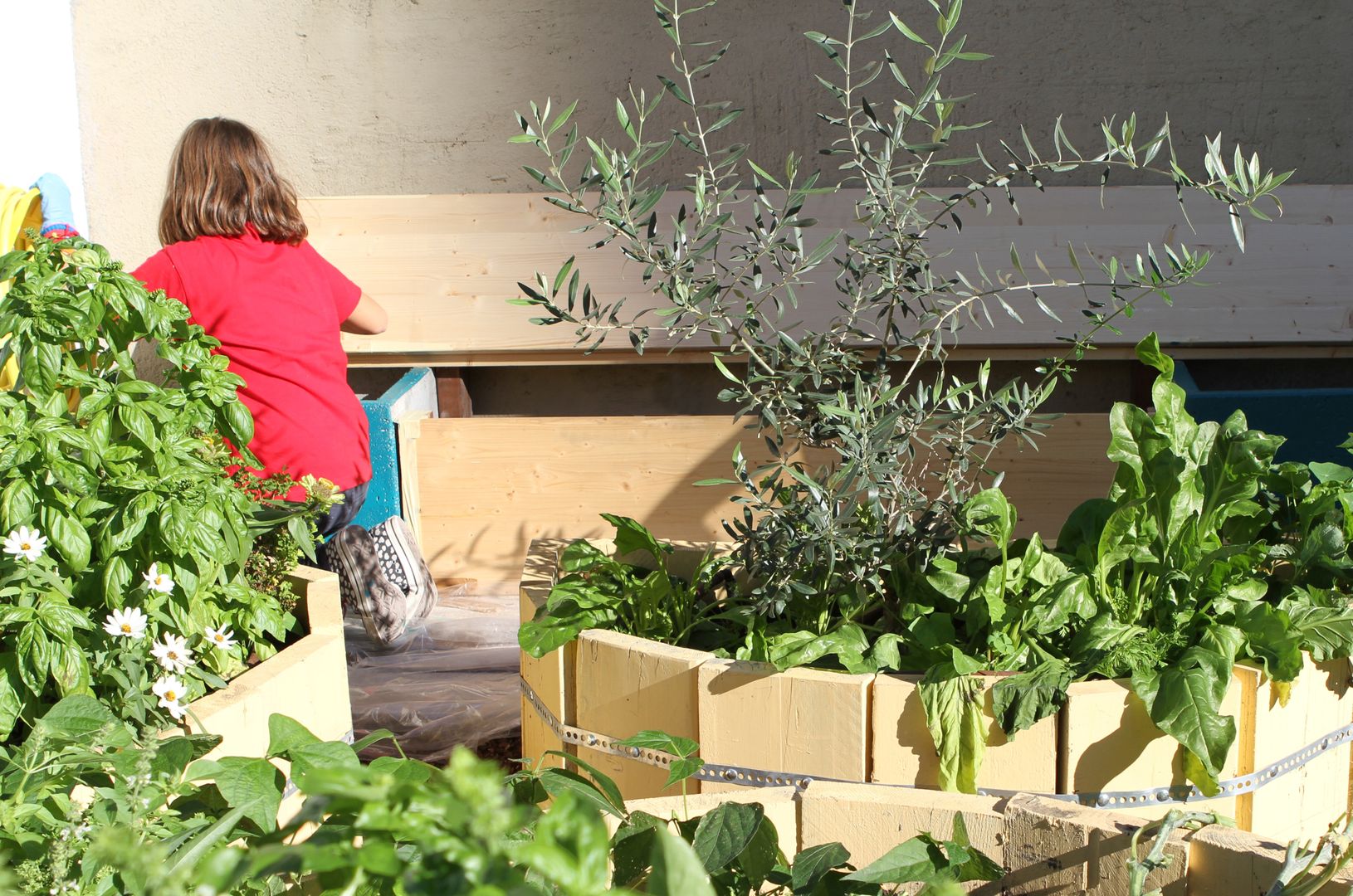 L'orto giardino dei bambini, Atelier delle Verdure Atelier delle Verdure Сад