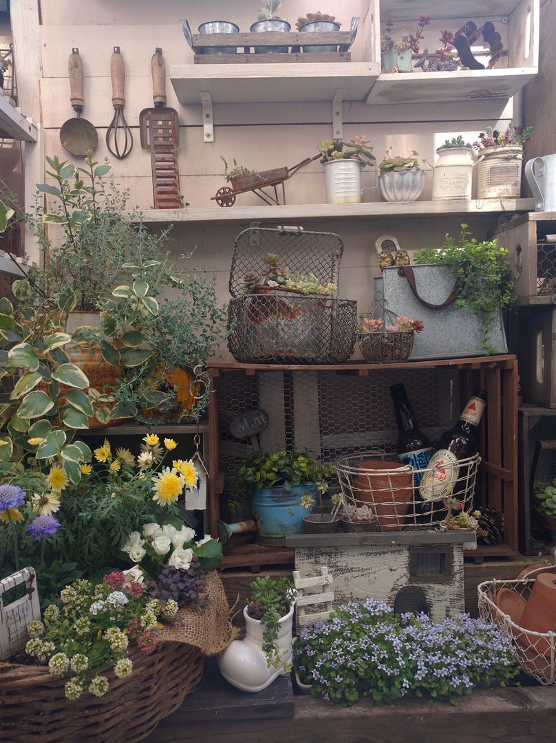 100均アイテムの家庭菜園・ガーデニング写真, kokkomacha kokkomacha Rustic style garden Accessories & decoration