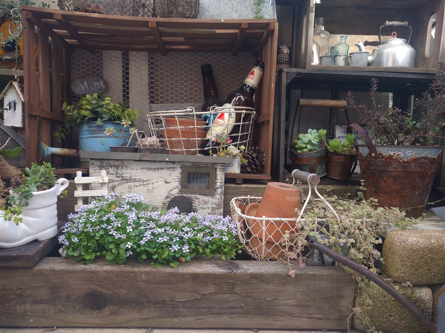 100均アイテムの家庭菜園・ガーデニング写真, kokkomacha kokkomacha Jardines de estilo rústico Accesorios y decoración