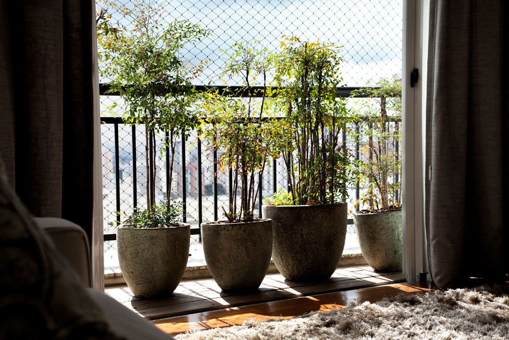 Vanderlei, Camila Vicari Arquitetura da Paisagem Camila Vicari Arquitetura da Paisagem Modern style balcony, porch & terrace