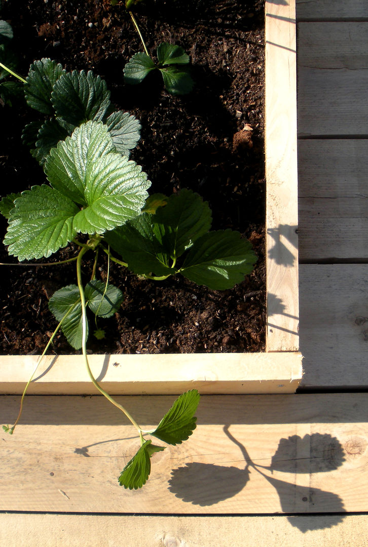 Il giardino comunitario, Atelier delle Verdure Atelier delle Verdure Eclectic style garden Wood Wood effect