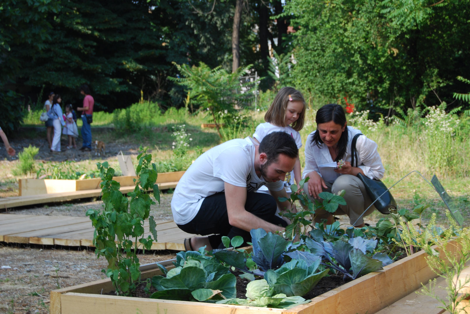 Il giardino comunitario, Atelier delle Verdure Atelier delle Verdure Eclectische tuinen Hout Hout
