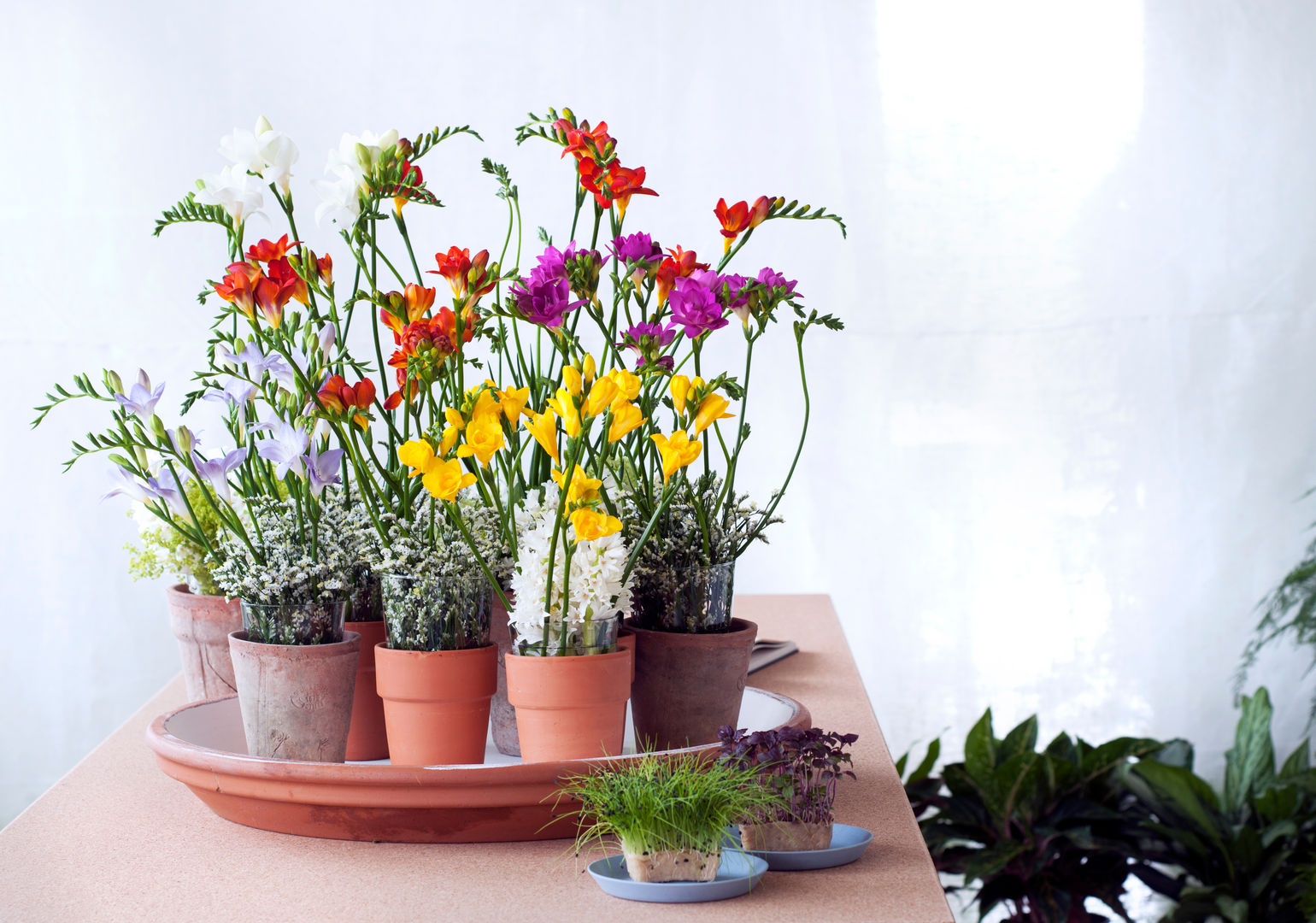 Frühlingsblumen, Tollwasblumenmachen.de Tollwasblumenmachen.de Living room