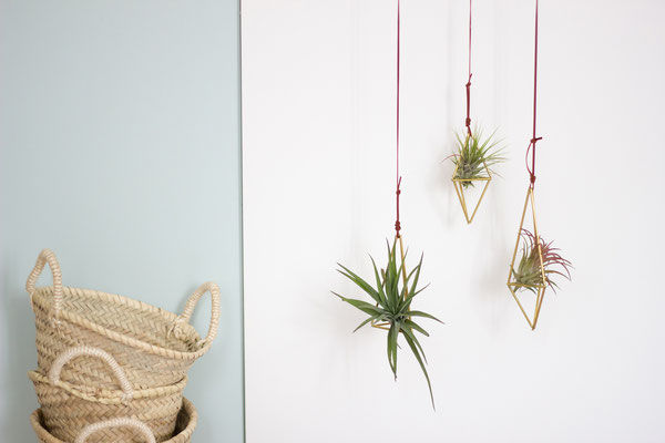 SOLO HIMMELI & TILLANDSIA, Lilas Wood Lilas Wood Salas de estar minimalistas Acessórios e Decoração