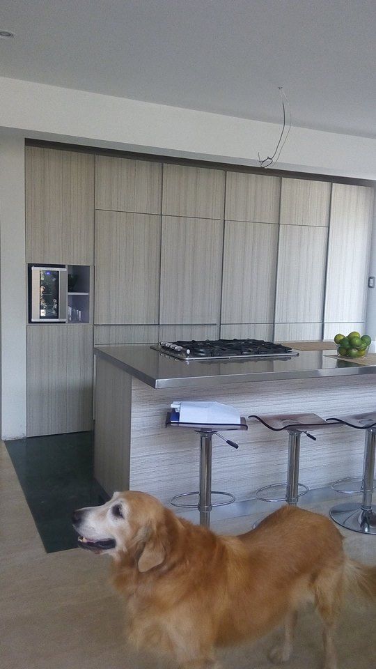 Cocina, Spacio M+M Spacio M+M Modern kitchen