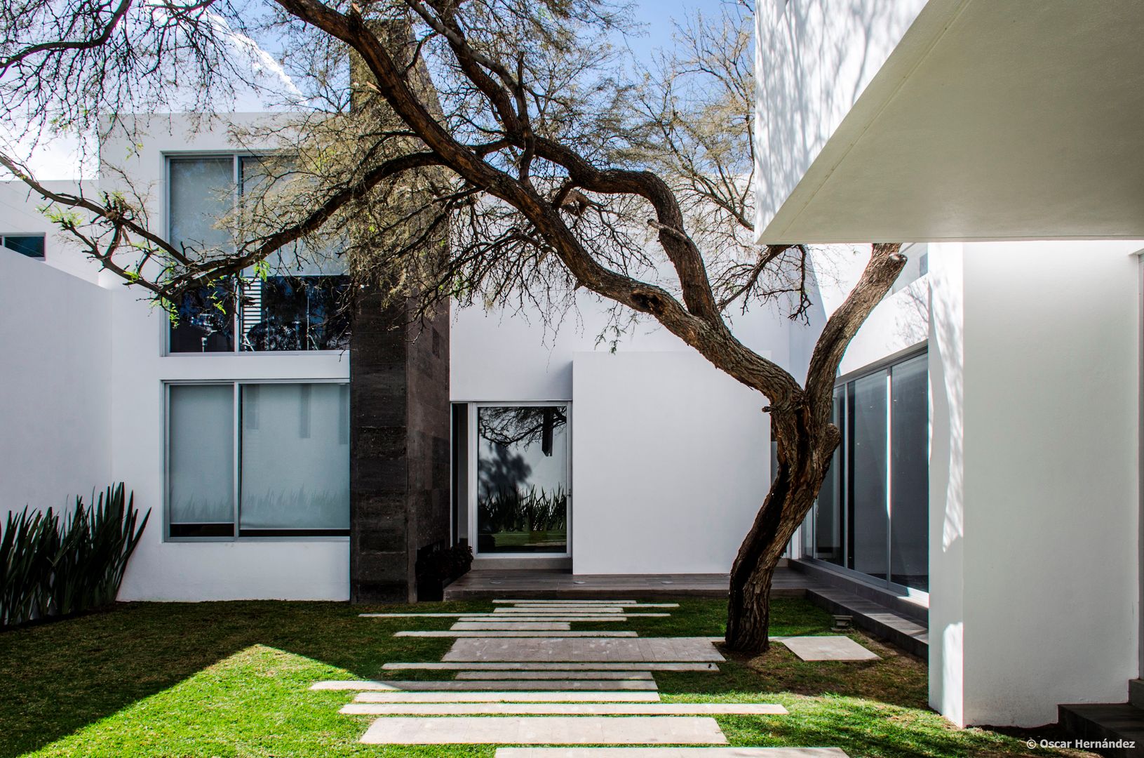 casaMEZQUITE, BAG arquitectura BAG arquitectura Modern houses گلاس