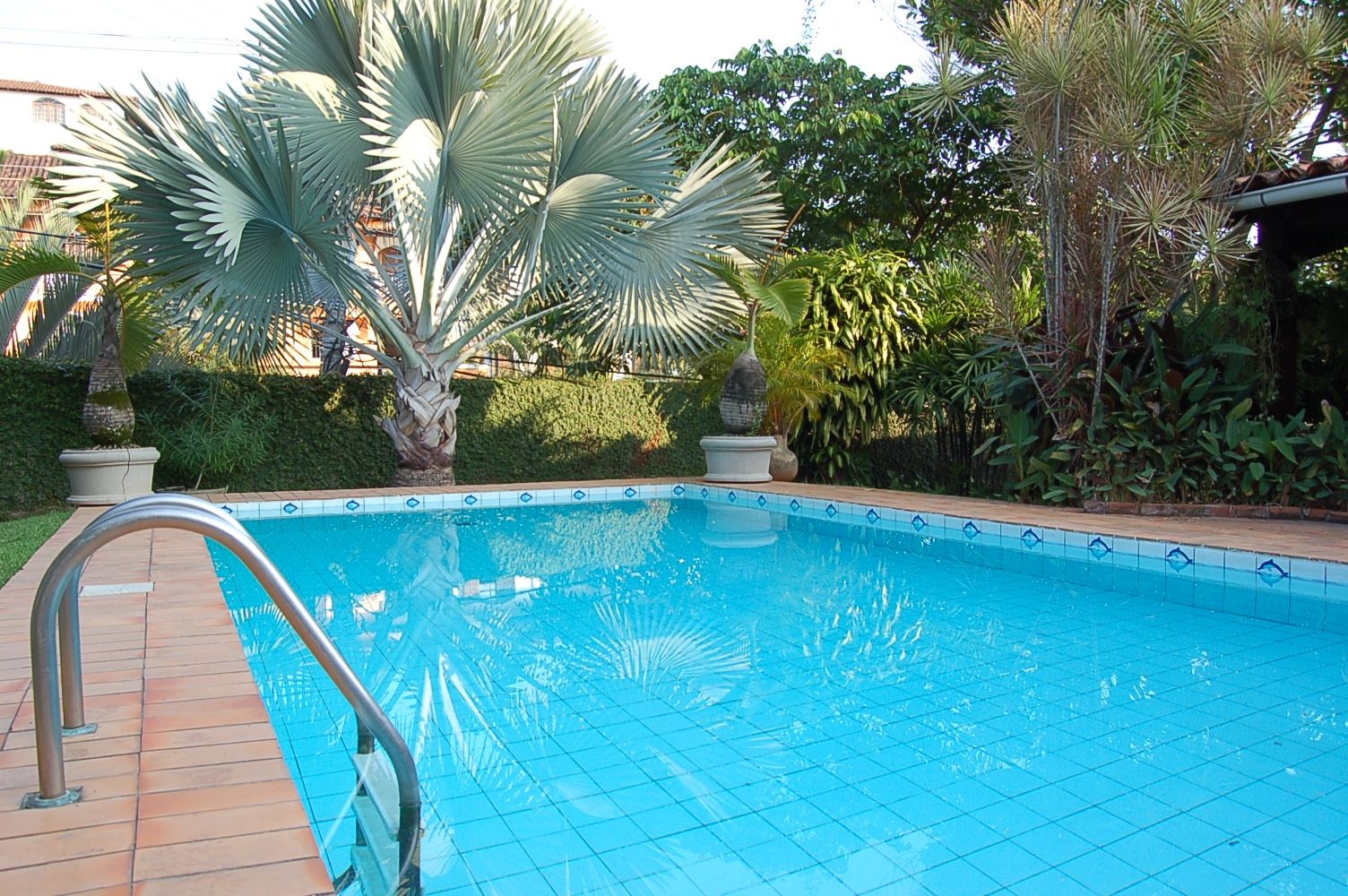 Casa Palmeira Azul, Emmilia Cardoso Designers Associados Emmilia Cardoso Designers Associados Modern Pool