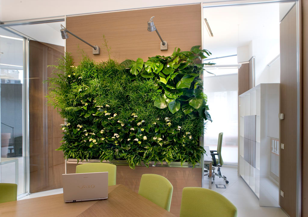 Office: Vertical Gardens and vegetable pictures homify مكتب عمل أو دراسة vertical garden,office