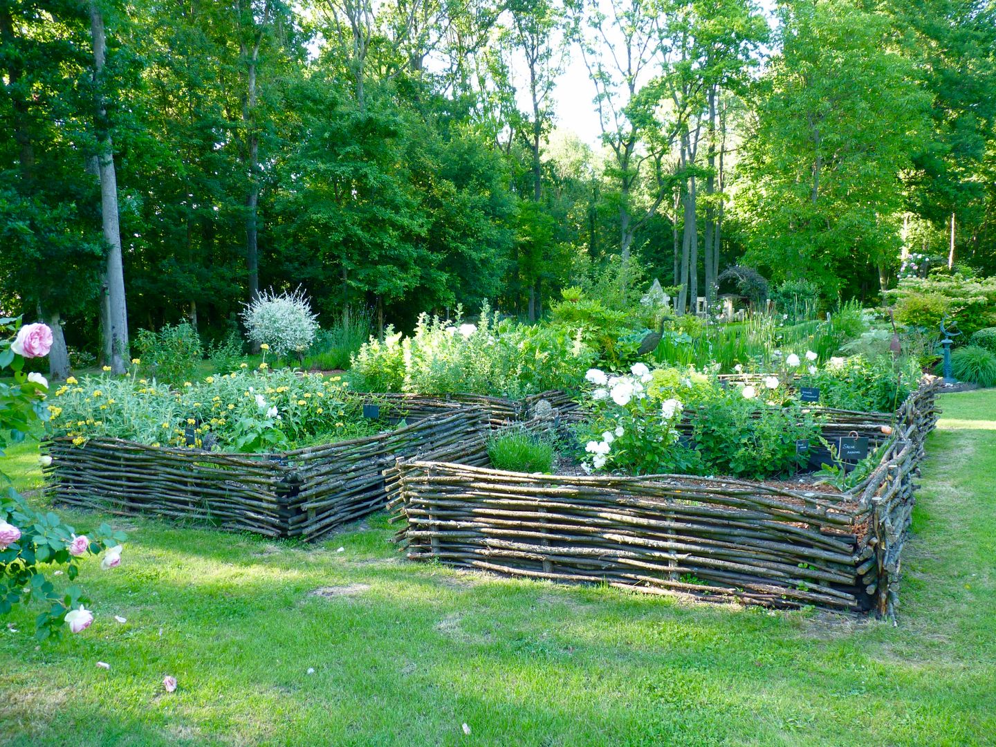 Carré de plantes aromatiques Nature in the Garden Jardin classique plantes vivaces,rosier