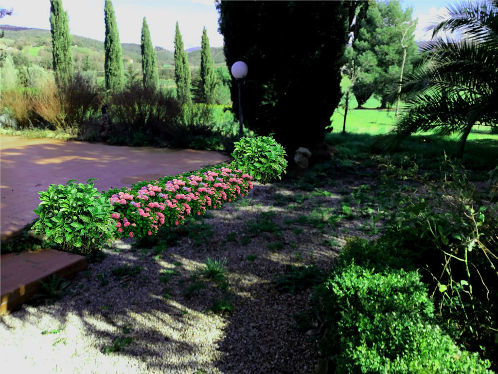 İTALYA 'TOSKANA-PEYZAJ PROJE &UYGULAMA // ITALY 'TUSCANY - LANDSCAPE PROJECT&APPLICATION, AYTÜL TEMİZ LANDSCAPE DESIGN AYTÜL TEMİZ LANDSCAPE DESIGN Rustik Bahçe landscape,italy,tuscany,bahçe,hep yeşil kalan bitkiler,design,designer,project,application,shrub,village