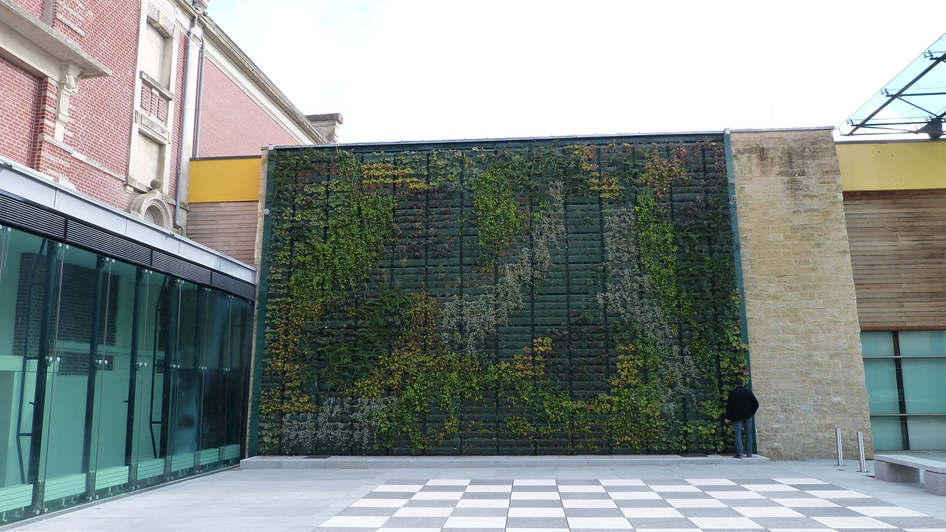 Végétaux naturels - Façade végétalisée / Mur végétal extérieur (Centre culturel), Vertical Flore Vertical Flore Tropical style houses