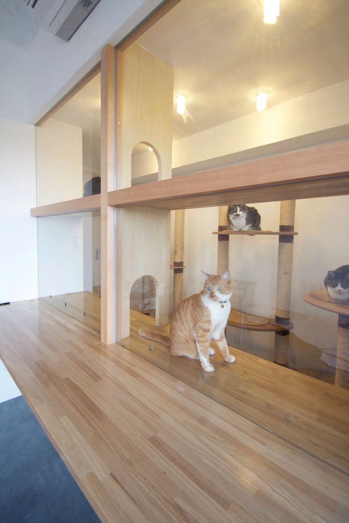 猫の部屋, SeijiIwamaArchitects SeijiIwamaArchitects Salle multimédia minimaliste Bois Effet bois