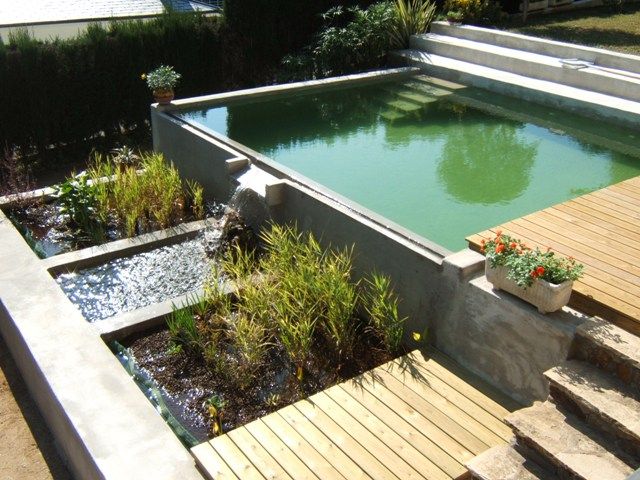Piscina Convencional, jardinista jardinista Moderne Pools