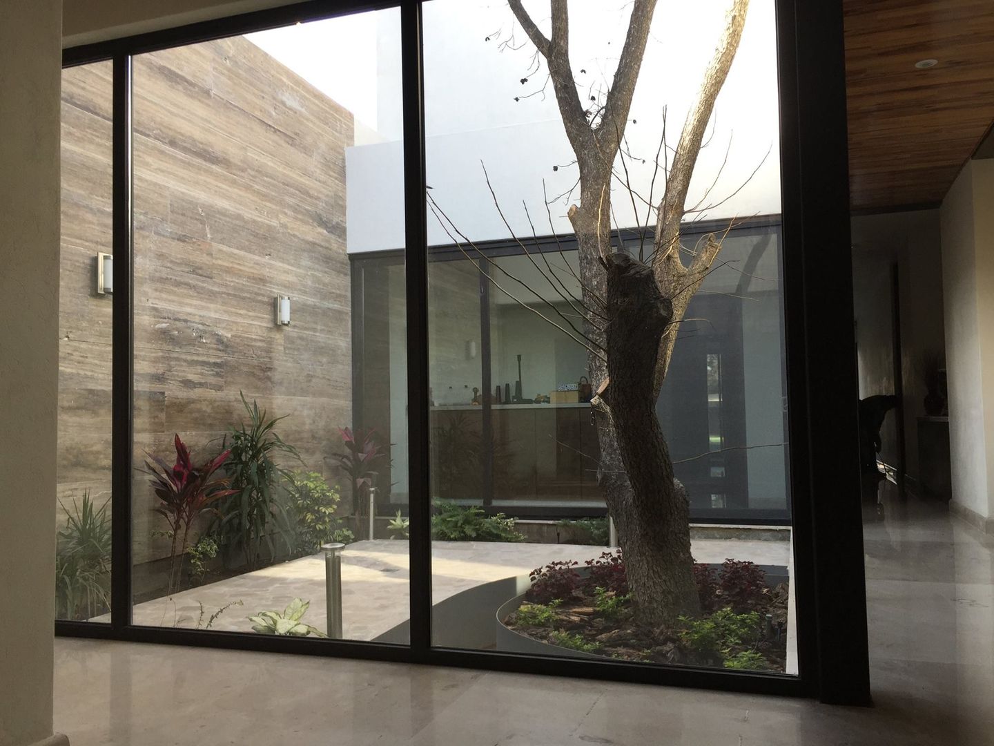 Vivienda Los Bosques, Diez y Nueve Grados Arquitectos Diez y Nueve Grados Arquitectos 庭院