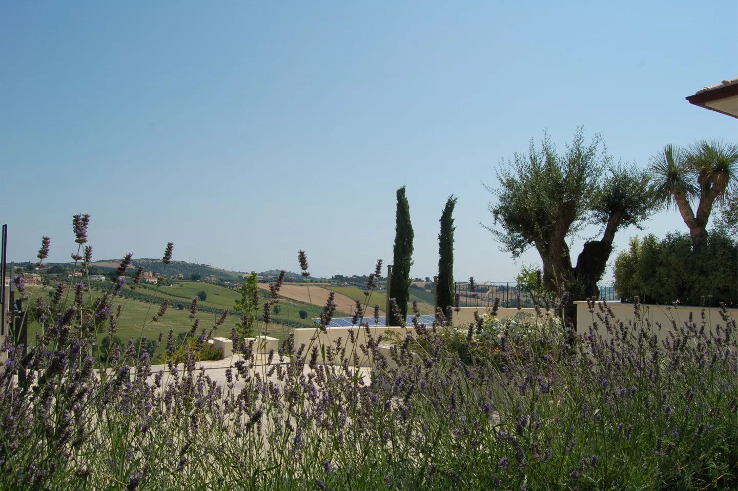 Tra le Colline, GAAP Studio Giorgio Asciutti Architetto Paesaggista GAAP Studio Giorgio Asciutti Architetto Paesaggista Mediterrane tuinen