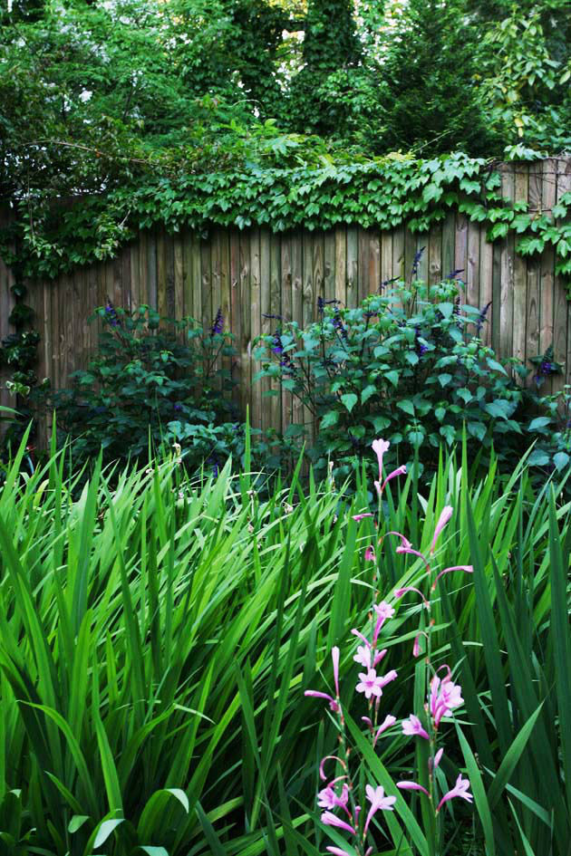 Casa OLIVOS, Arquitecto Alejandro Sticotti Arquitecto Alejandro Sticotti Country style garden