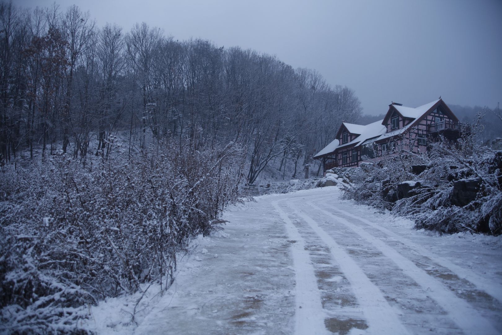 팀버 플레임 하우스 (분홍집), Kim&Kim Studio Kim&Kim Studio Jardins campestres