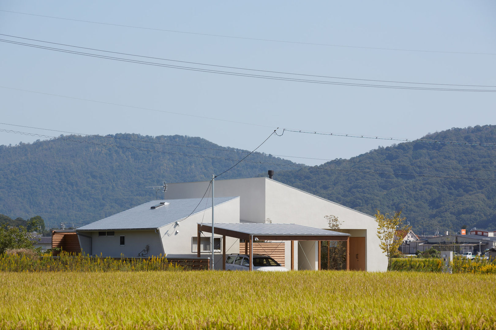 ダイチノイエ toki Architect design office モダンな 家 木 木目調 平屋,田舎暮らし,田舎,自然,モダン