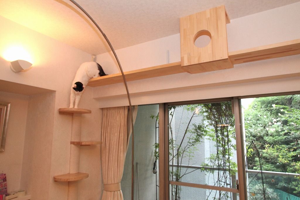 ねことりびんぐ K邸, 一級建築士事務所 かねまき・こくぼ空間工房 一級建築士事務所 かねまき・こくぼ空間工房 Salon moderne