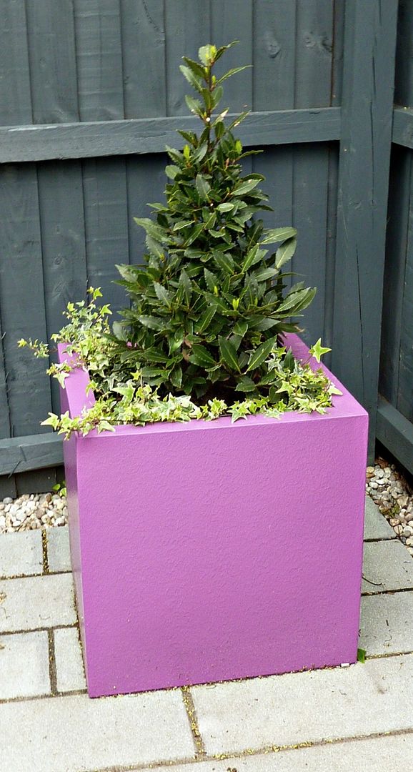 Bay tree cone in fibreglass planter Gardenplan Design モダンな庭