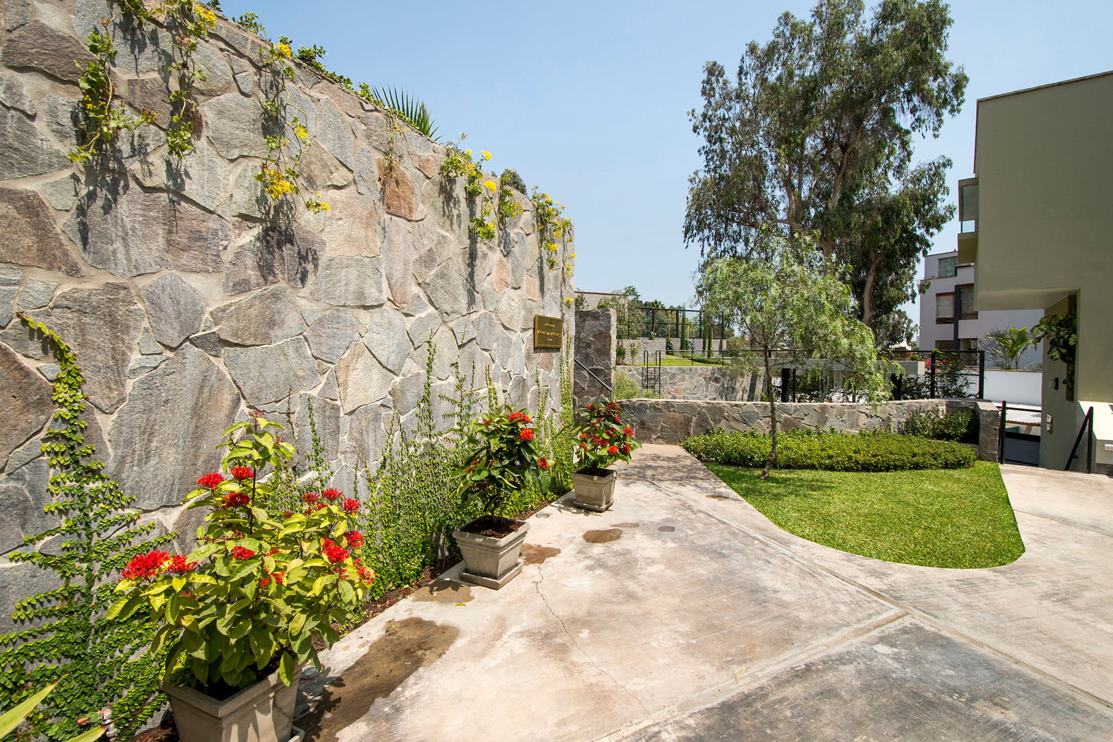 JARDIN COLISEO DE GALLOS, NIKOLAS BRICEÑO arquitecto NIKOLAS BRICEÑO arquitecto Modern style gardens