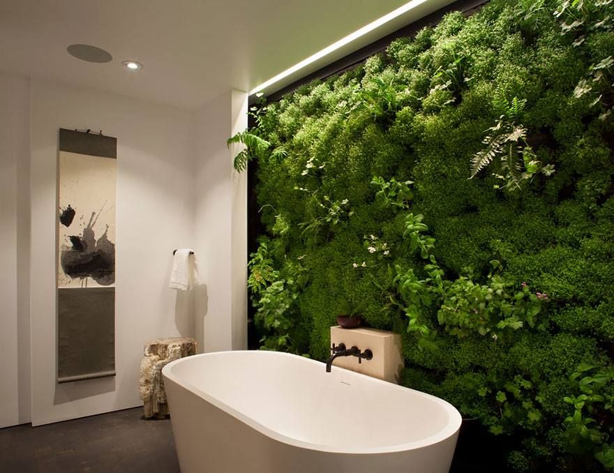 Vertiwall, PLANTES ARBRES ET JARDINS PLANTES ARBRES ET JARDINS Eclectic style walls & floors