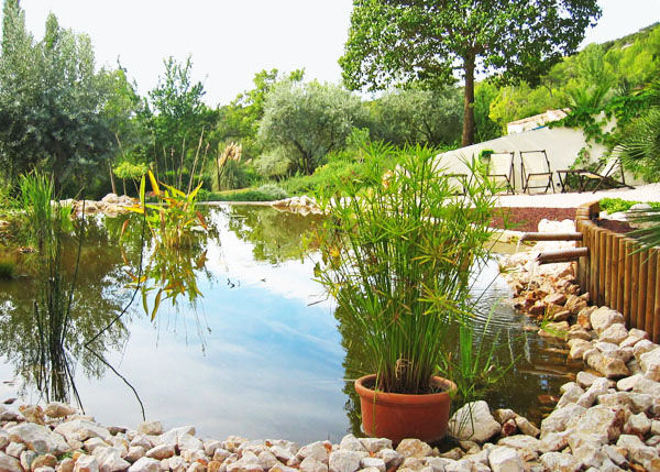 Réalisation d'un bassin maçonné., jardin service jardin service