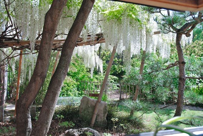 Jardins méditerranéens, Jean-Jacques Derboux Jean-Jacques Derboux สวน