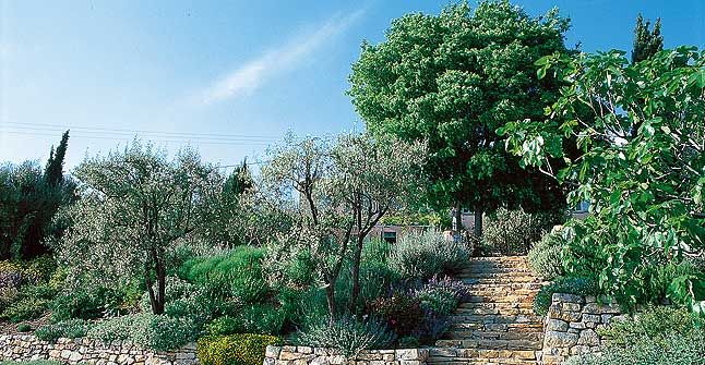 Jardins secs, REV REV Mediterranean style garden