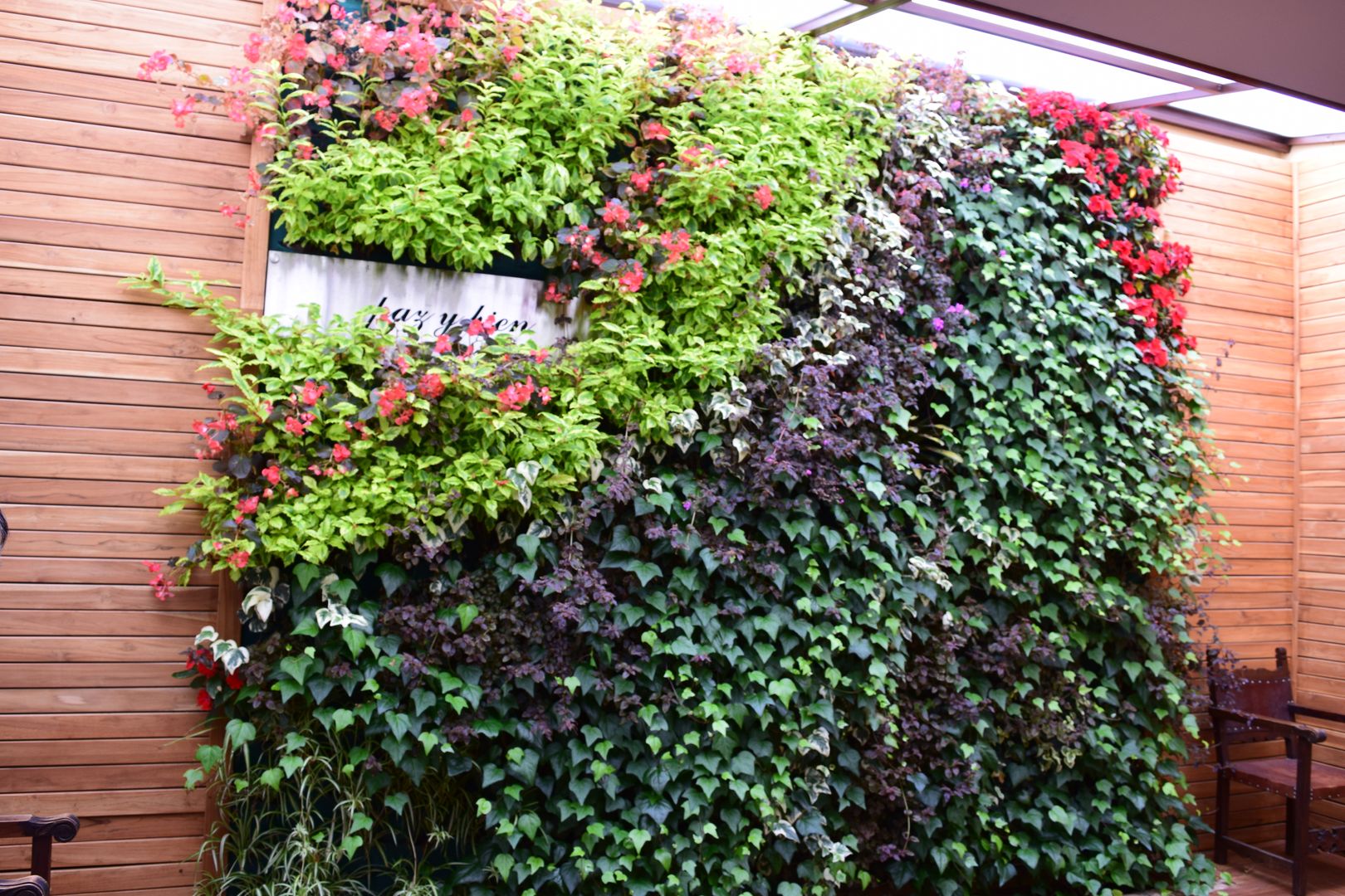 Jardín vertical Hermanos Capuchinos Bogotá D.C, Verde & Verde Ingenieros & Arquitectos SAS Verde & Verde Ingenieros & Arquitectos SAS Garden