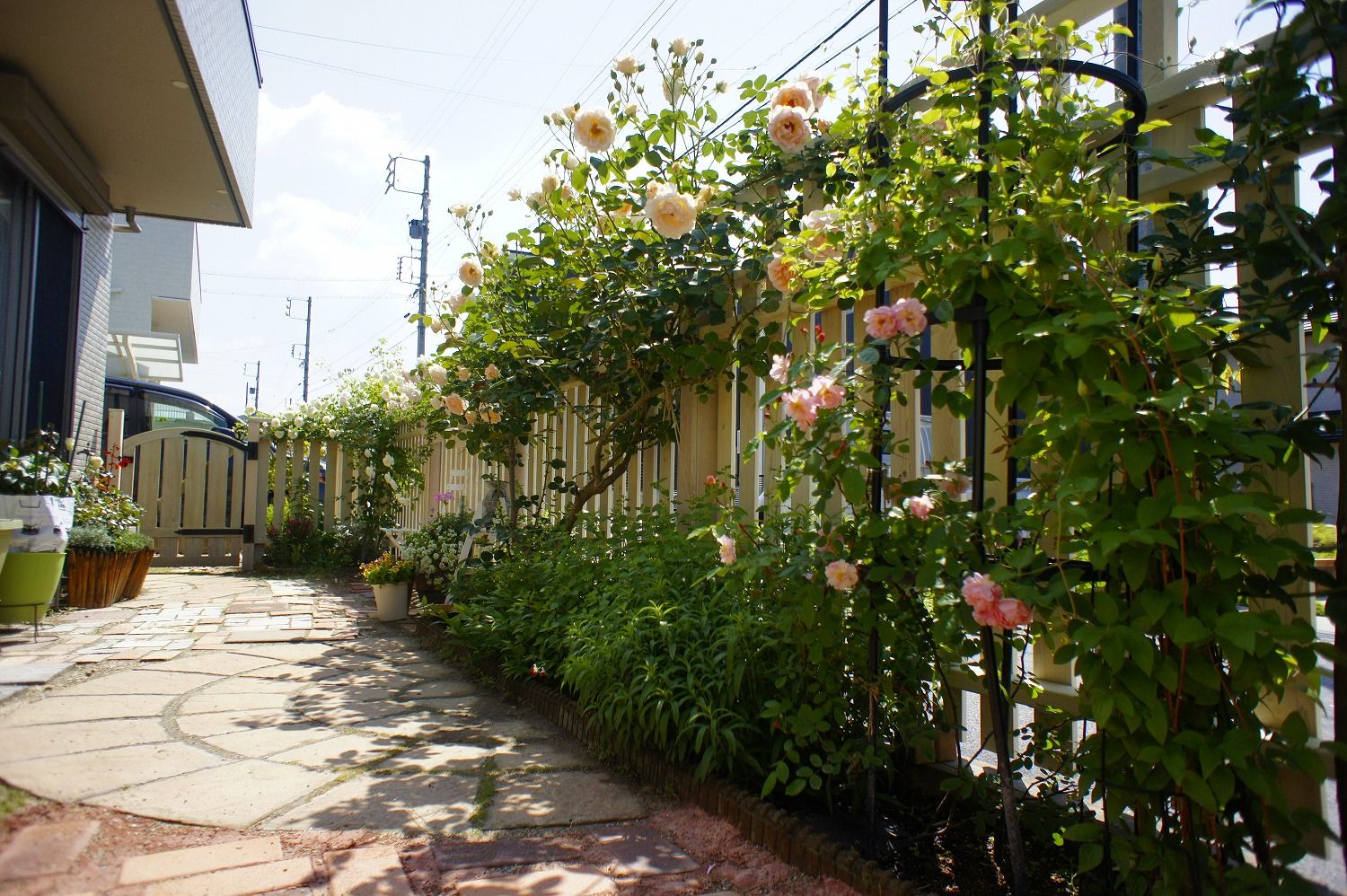 白いアメリカン・フェンスとローズガーデン White WoodFence & RoseGarden, Jardin Favori ジャルダン・ファヴォリ Jardin Favori ジャルダン・ファヴォリ