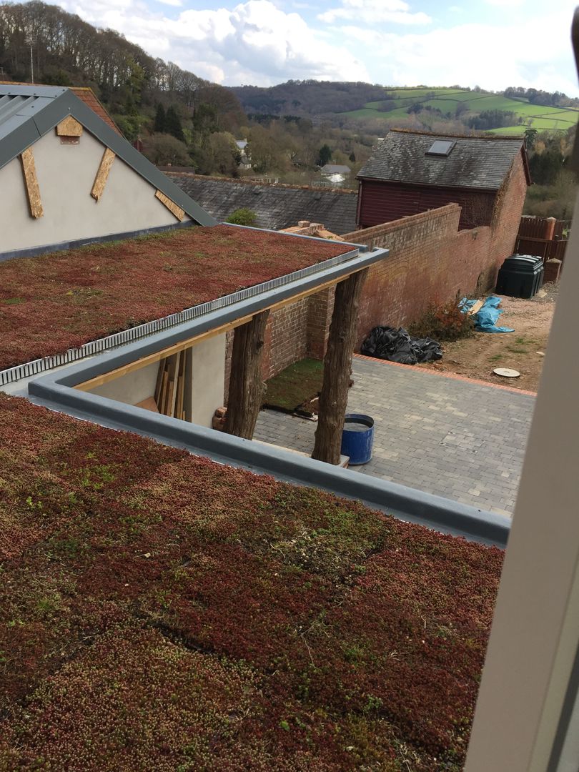Flat Roof - Moss Building With Frames Minimalistyczne domy Drewno O efekcie drewna