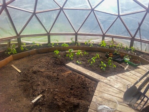 invernadero, smart domos smart domos Giardino rurale
