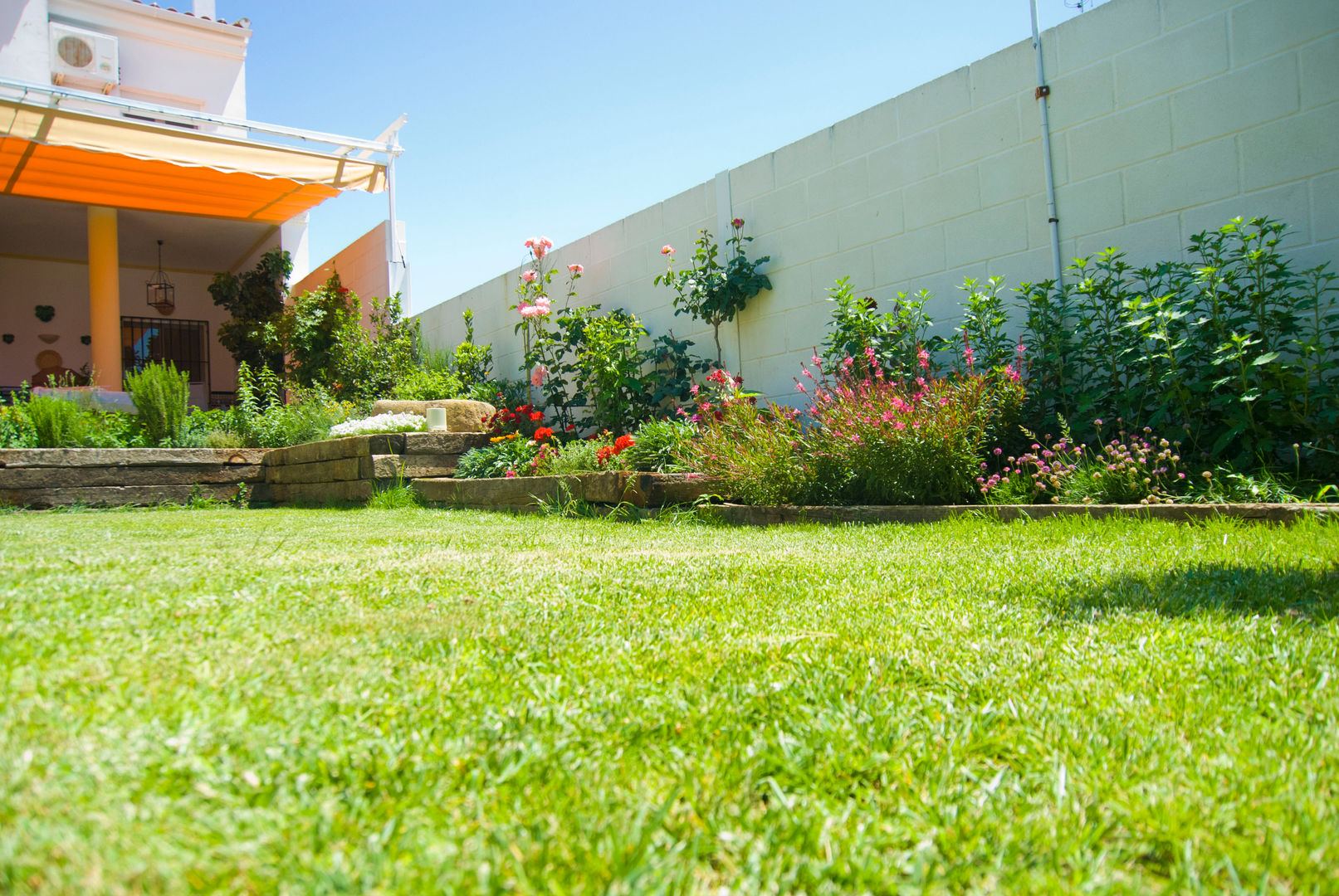 Jardín Rústico con toque chic en Extremadura, Landscapers Landscapers Jardines de estilo mediterráneo Planta,Flor,Tiempo de día,Comunidad vegetal,Edificio,Hoja,Entorno natural,Paisaje natural,Cielo,Lote de tierra