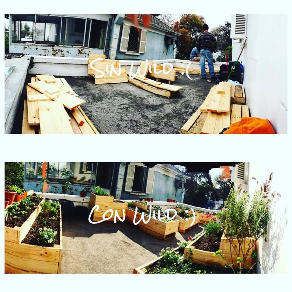 Agricultura Urbana / Huerta Urbana, WILD PROYECT WILD PROYECT Country style garden