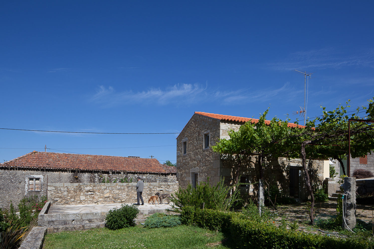 Nogueiras house, par-do par-do Modern houses