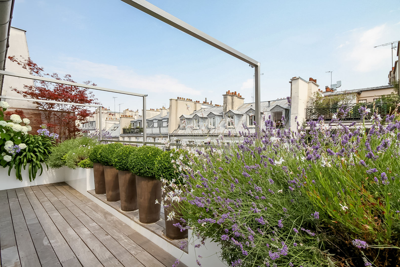 Terrasse Paris Rambuteau Terrasses des Oliviers Terrasses des Oliviers - Paysagiste Paris Balcon, Veranda & Terrasse modernes Bois Effet bois Terrasse,Paris,Balcon,contemporain,lavande,bacs de plantations