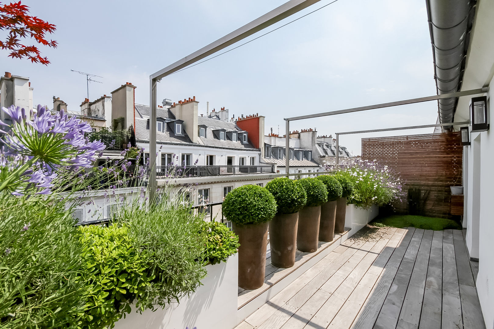 Rambuteau, Terrasses des Oliviers - Paysagiste Paris Terrasses des Oliviers - Paysagiste Paris Modern balcony, veranda & terrace Wood Wood effect