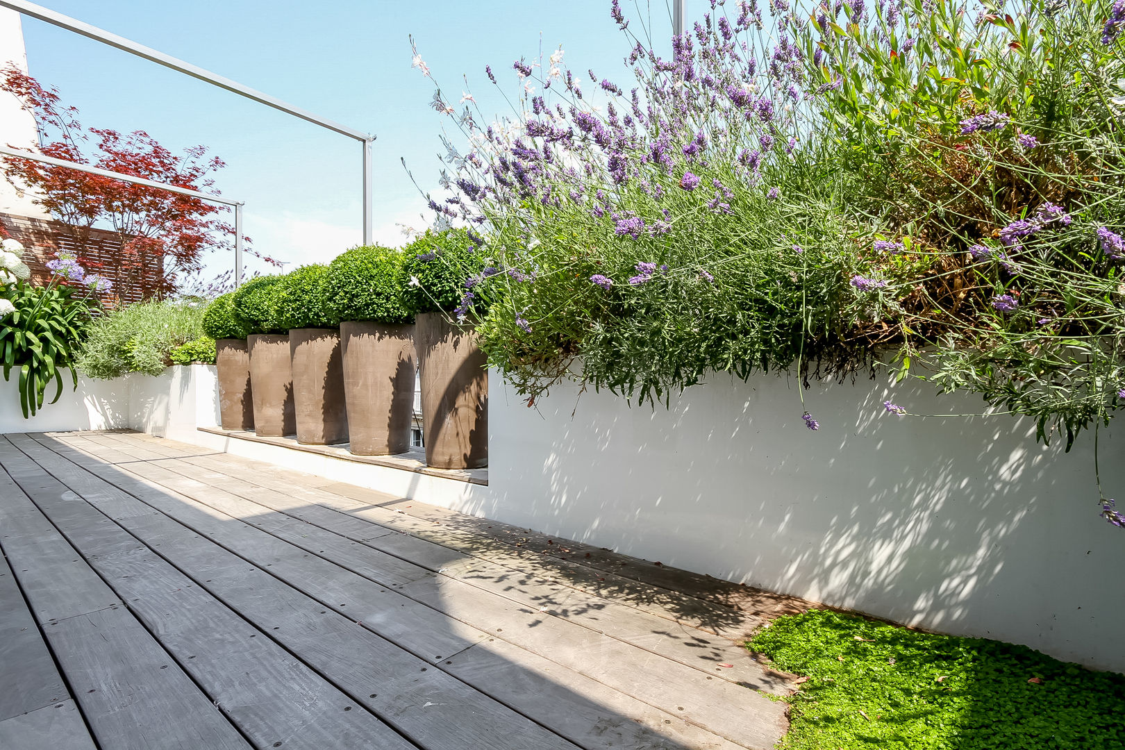 Rambuteau, Terrasses des Oliviers - Paysagiste Paris Terrasses des Oliviers - Paysagiste Paris Modern style balcony, porch & terrace