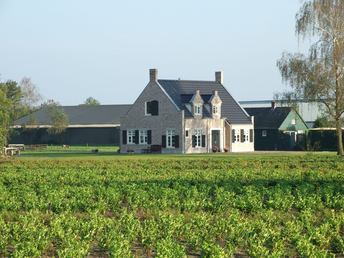 Vrijstaande woning in Belgische sfeer te Heerde, 01 Architecten 01 Architecten