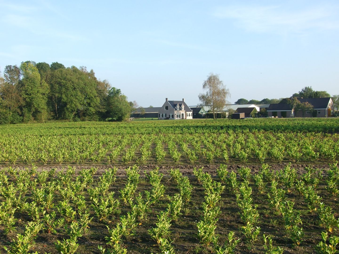 Vrijstaande woning in Belgische sfeer te Heerde, 01 Architecten 01 Architecten