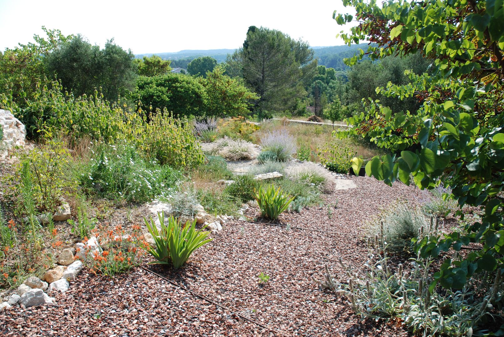 Jardin sec, Jean-Jacques Derboux Jean-Jacques Derboux Mediterrane tuinen