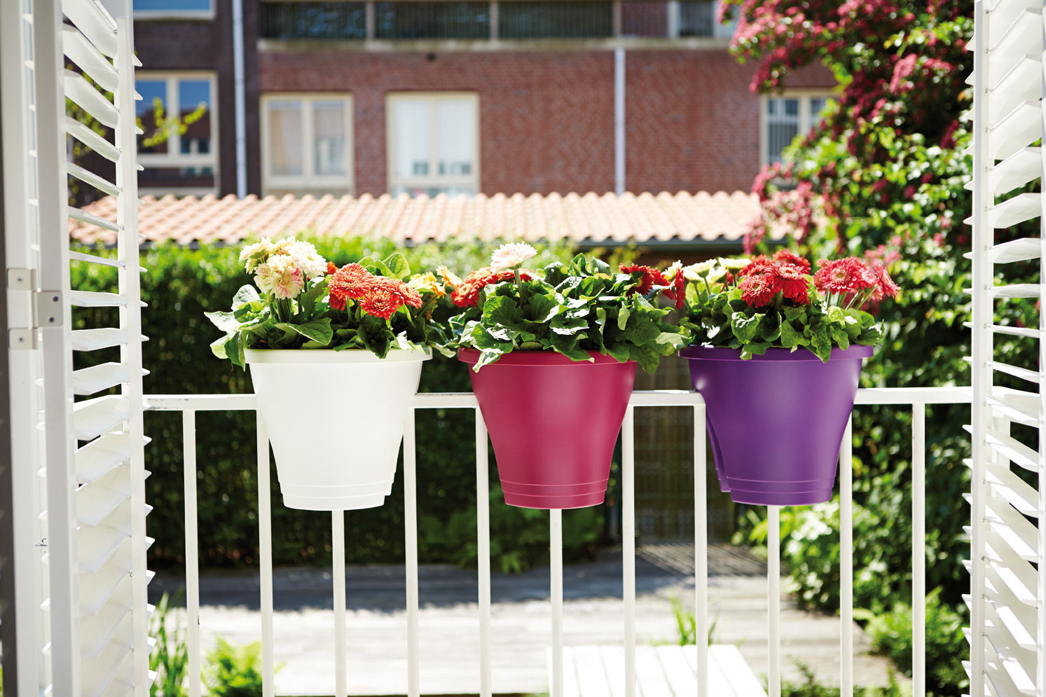 Macetas para exterior (outdoor), Elho México Elho México Modern balcony, veranda & terrace Plastic Plants & flowers